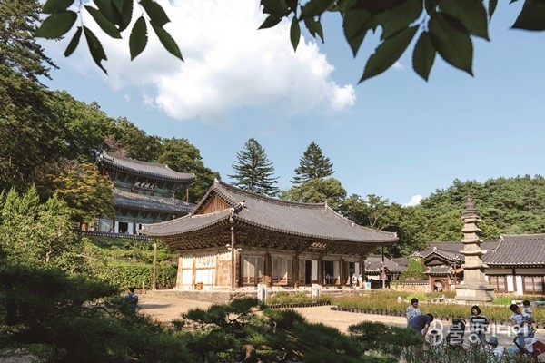 마곡사는 태화산 동쪽 산허리 기슭, 금강의 한 지류인 태화천이 흐르는 곳에 자리 잡았다.