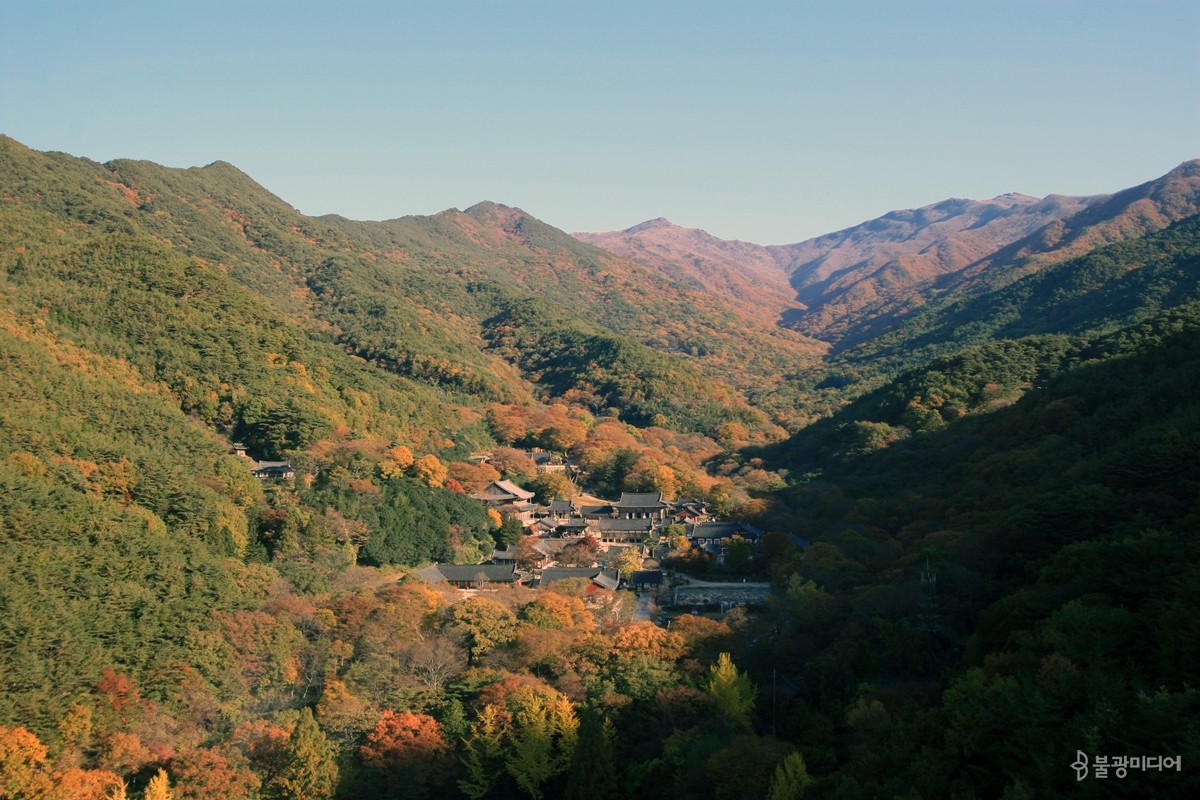 가을, 화엄사 전경